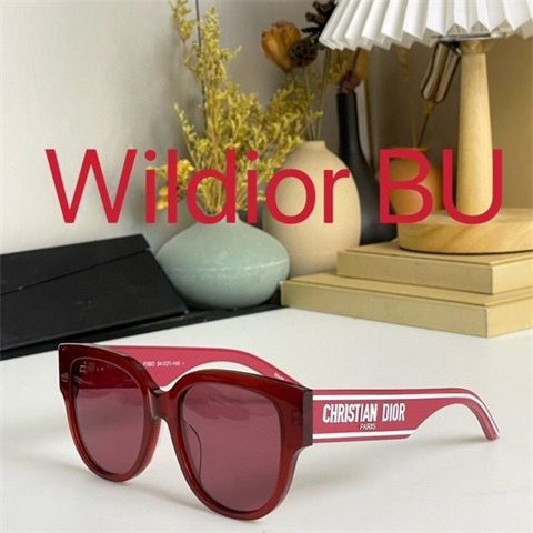 dior sunglass-089